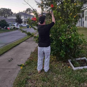 Bush Trimming by No B.S. landscape  reviewed on August 16, 2025