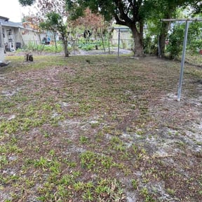 Leaf Removal by Sayers LawnCare &amp; Landscaping reviewed on May 6, 2026
