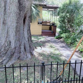 Leaf Removal by EC &amp; Sons Home Improvement reviewed on October 2, 2025