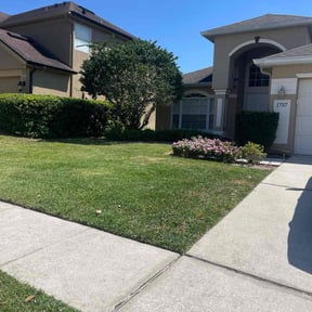 yard work by Young's Lawn Care Services reviewed on December 23, 2025