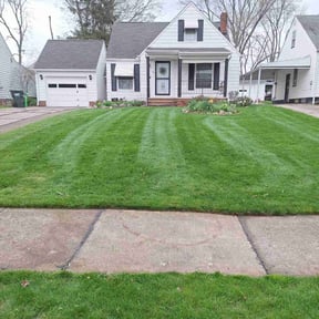 residential landscaping by SIMPLY GREEN VISIONS reviewed on August 21, 2025