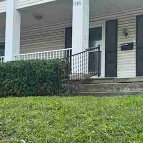 lawn service by Native Landscapes Of Central Florida LLC reviewed on April 30, 2024