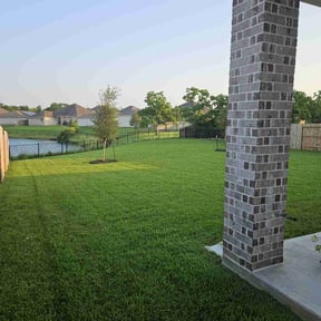 yard care by Banda Landscaping reviewed on August 20, 2025