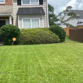 Bush Trimming by K V Lawncare reviewed on October 24, 2025