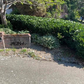 Bush Trimming by Sunshine landscaping reviewed on August 17, 2025