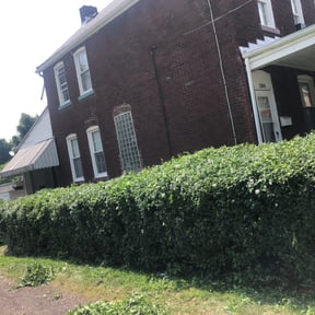 Bush Trimming by Midwest Ecoscapes reviewed on August 17, 2025