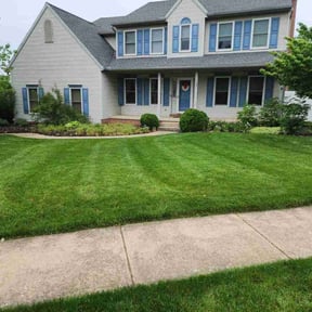 lawn care by Cross County Lawn and Landscape reviewed on August 19, 2025