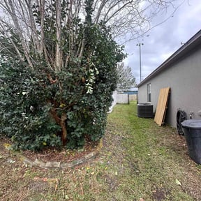 Bush Trimming by MEA Lawncare reviewed on August 19, 2025