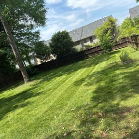 Long Grass Cleanup by EarthCare reviewed on August 17, 2025