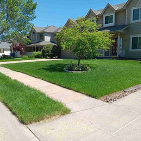 grass maintenance by Simple Solution Home Services reviewed on November 8, 2023