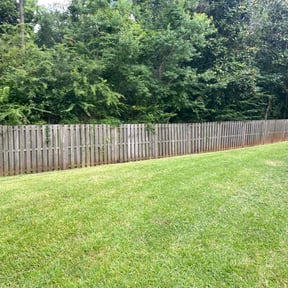 lawn service by MB Lawncare reviewed on August 5, 2024
