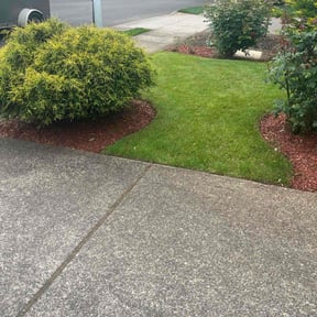 residential landscaping by Top Landscape Maintenance LLC reviewed on November 24, 2025