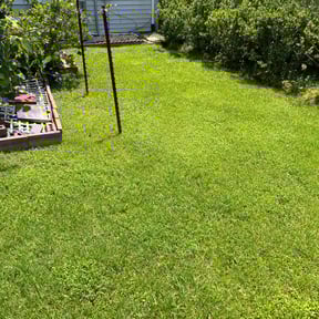residential landscaping by Picture perfect lawn reviewed on August 17, 2025