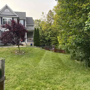 landscaping by Better Dash Group LLC reviewed on August 16, 2025