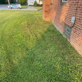 Flower Bed Weeding by PO' Folkz Gardening services reviewed on January 17, 2026