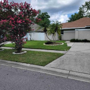 landscaping services by Native Landscapes Of Central Florida LLC reviewed on August 19, 2025