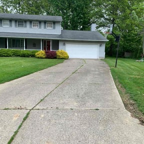 grass cutting by Taylor’d Lawn Experience reviewed on September 26, 2024