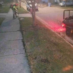 Leaf Removal by A Cut Above reviewed on November 24, 2025