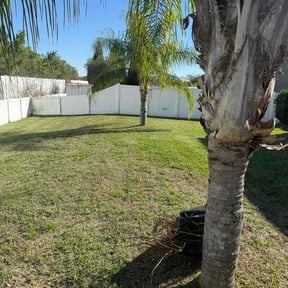 Bush Trimming by Moses Enterprise  llc reviewed on April 22, 2026