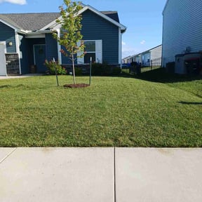 landscape maintenance by Ward reviewed on August 16, 2025