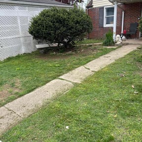 Bush Trimming by Elite Lawn Care reviewed on August 20, 2025