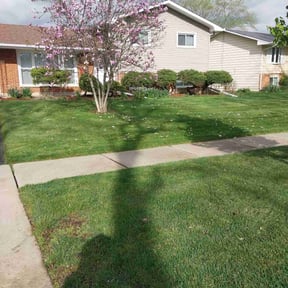 landscaping services by Jose Palacios reviewed on August 18, 2025