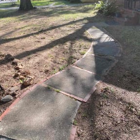 Leaf Removal by Shaggy cuts,INC reviewed on September 12, 2025