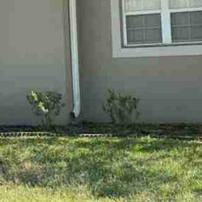Flower Bed Weeding by EDGE CUT LAWN CARE reviewed on August 15, 2025