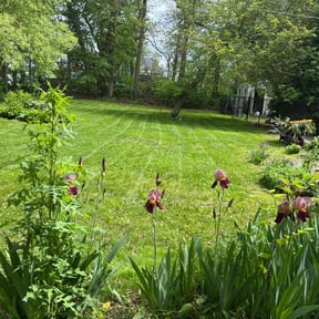 gardening service by Montijo landscaping llc reviewed on November 30, 2025