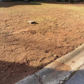 Leaf Removal by All in One Complete Home Solutions reviewed on August 14, 2025
