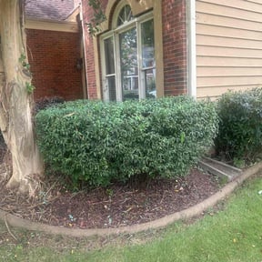 Bush Trimming by Cutting Low Lawn Service LLC reviewed on November 19, 2025