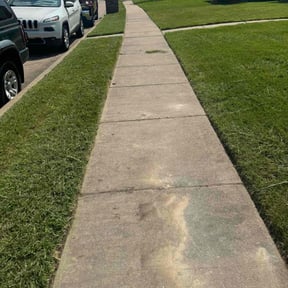 grass maintenance by lazer lawns reviewed on May 3, 2024