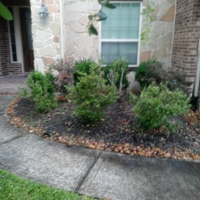 Flower Bed Weeding by Grateful Lawn Care reviewed on August 15, 2025