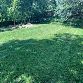 yard maintenance by Willie Lawn Care and More LLC reviewed on August 19, 2025