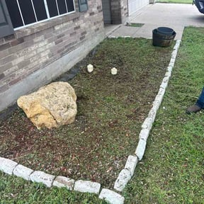 Flower Bed Weeding by Mejia landscaping reviewed on April 26, 2026