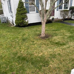Mulching by K&amp;B kutz reviewed on April 21, 2026