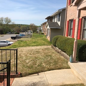 Bush Trimming by Bert's Landscaping and Propery Mantienance reviewed on August 20, 2025