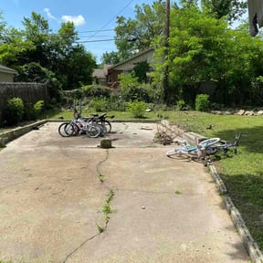 Bush Trimming by Turf Monster reviewed on November 18, 2025