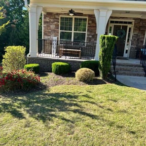 Bush Trimming by Big Star Landscaping & Pest LLC reviewed on August 20, 2025