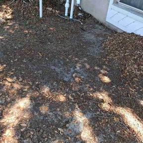 Leaf Removal by Meloscapes Mgmt LLC reviewed on July 14, 2026