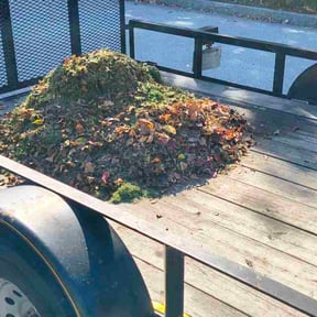 Leaf Removal by Family Lawn Care reviewed on October 23, 2025