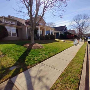 turf care by UpKeep Lawn reviewed on August 17, 2025