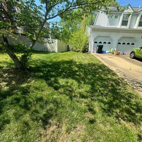 lawn care by Mora Brothers Tree and Landscaping reviewed on February 9, 2024
