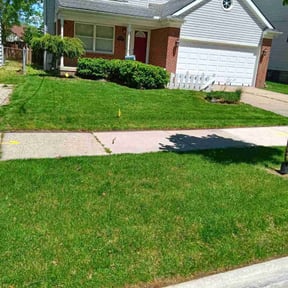 landscaping services by F&M LAWNCARE reviewed on August 21, 2025