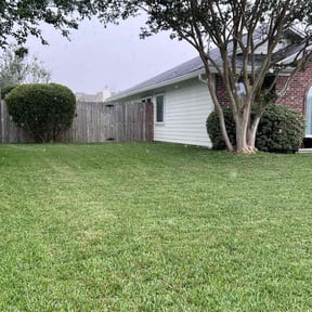 Bush Trimming by Lawn Impression reviewed on August 21, 2025