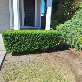 Bush Trimming by Earth tending company reviewed on November 23, 2025