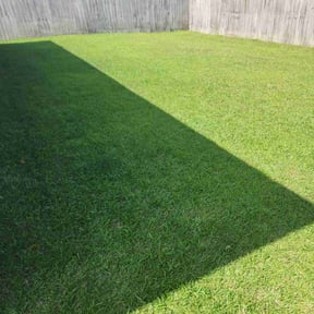 yard maintenance by Emerald coast lawn care reviewed on August 20, 2025