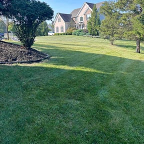 lawn care by Royalty lawn care reviewed on August 24, 2024