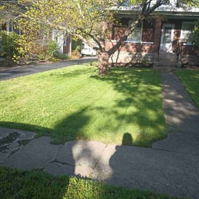 grass cutting by A Plus Lawn care reviewed on July 21, 2023