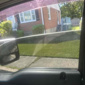 Bush Trimming by The Perfect Lawn reviewed on November 20, 2025